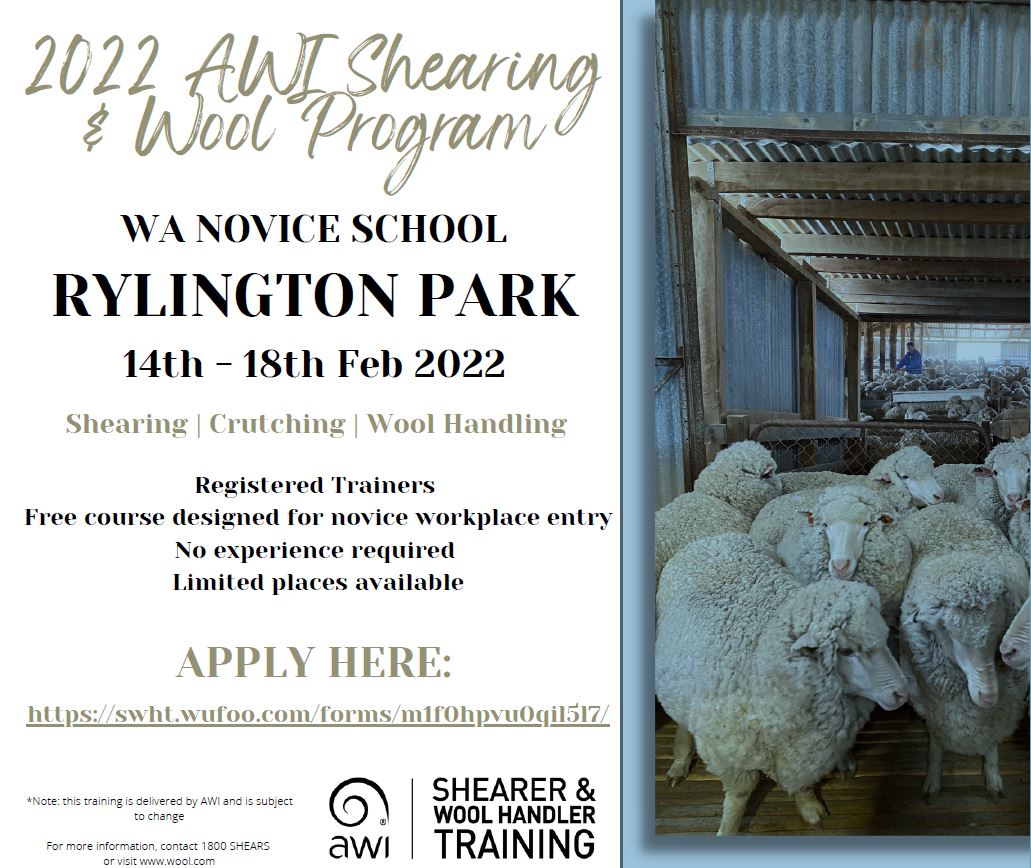 News Story 2022 AWI Shearing and Wool Program » Boyup Brook