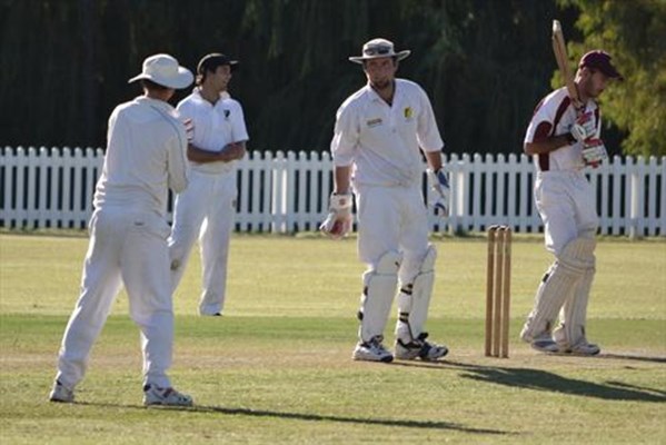Sport - Cricket 163