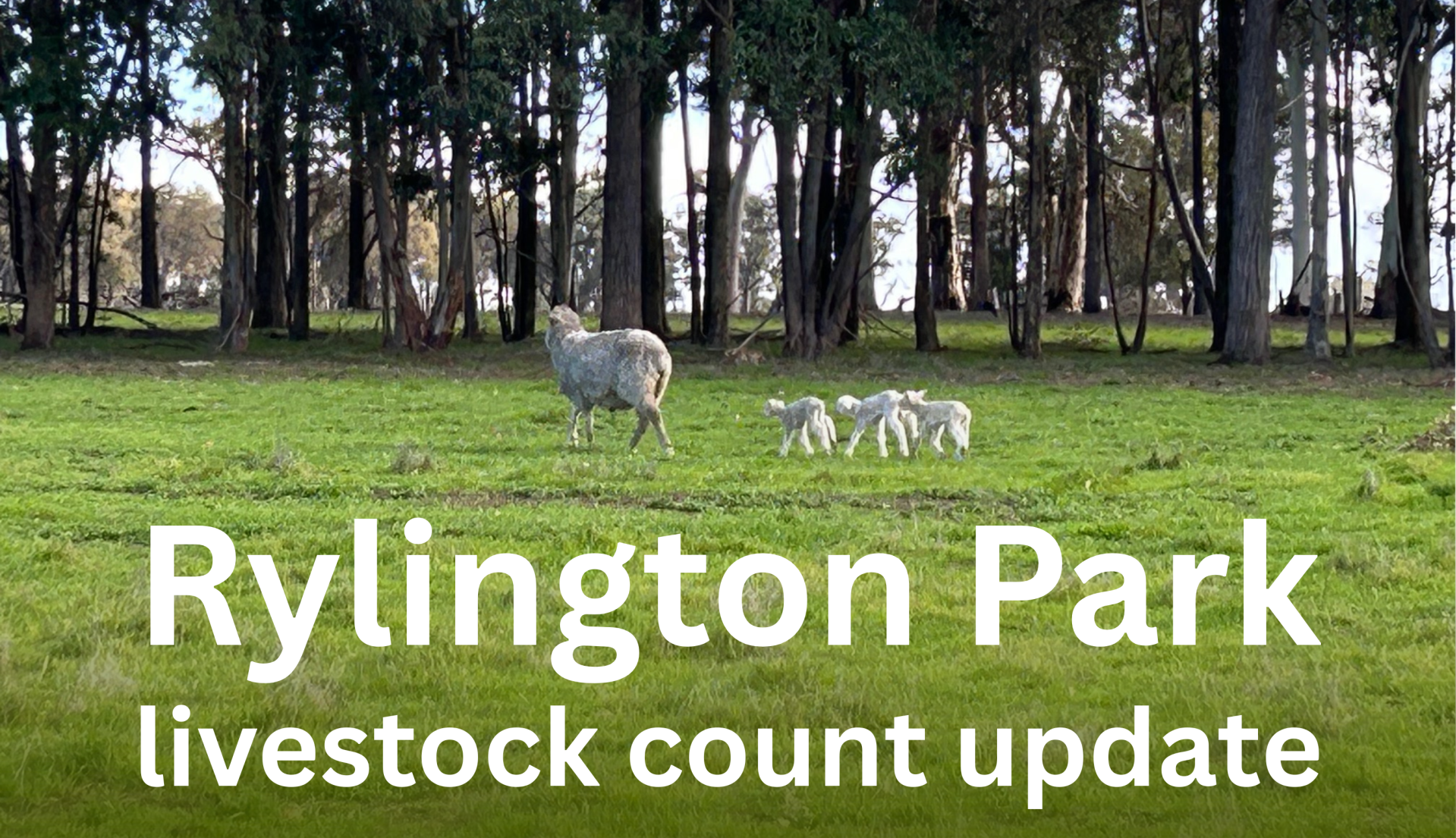 Rylington Park